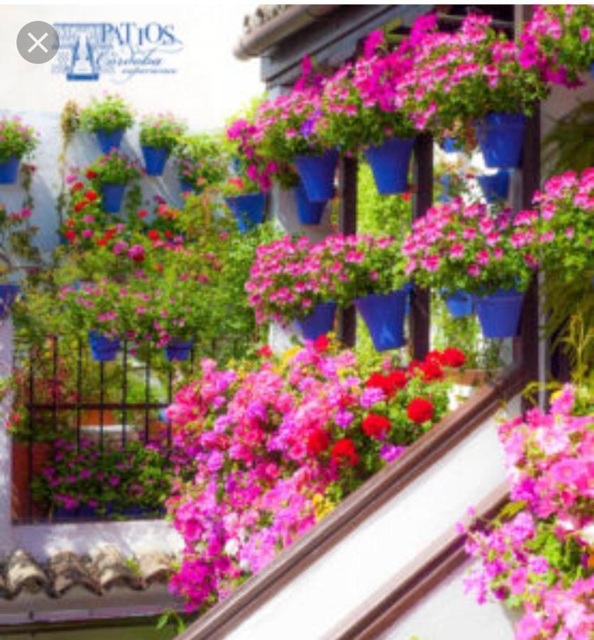 A 20 Metros De La Mezquita Catedral ,Apartamentos Turistico Cespedes 5 Cordoba Luaran gambar