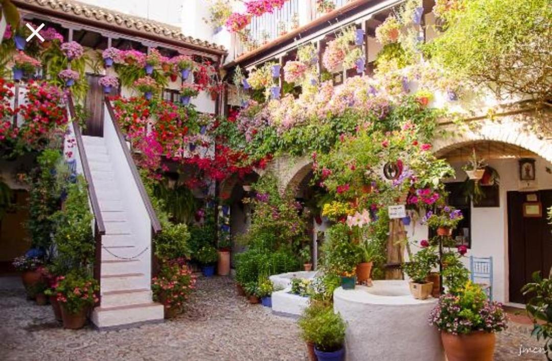 A 20 Metros De La Mezquita Catedral ,Apartamentos Turistico Cespedes 5 Cordoba Luaran gambar