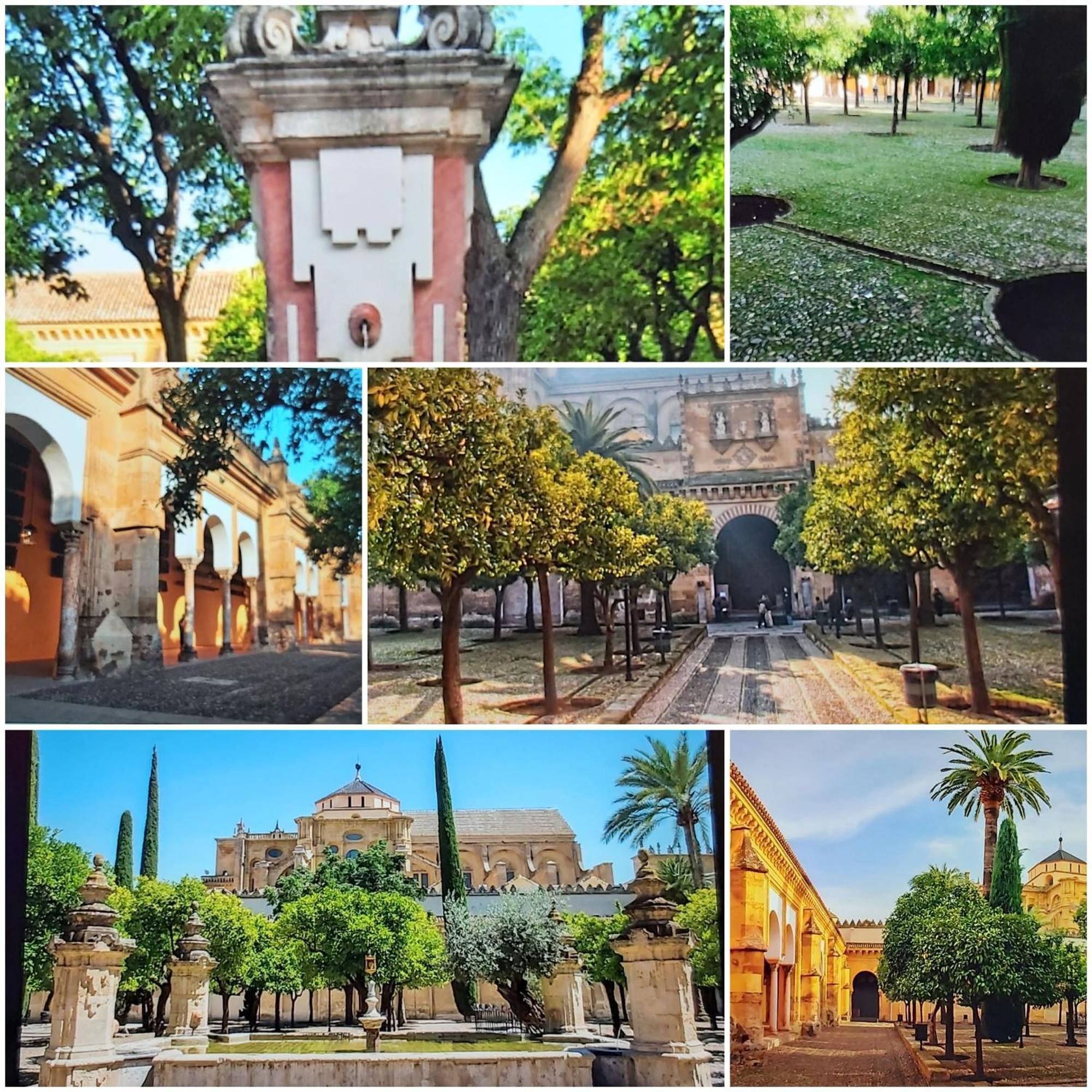 A 20 Metros De La Mezquita Catedral ,Apartamentos Turistico Cespedes 5 Cordoba Bilik gambar