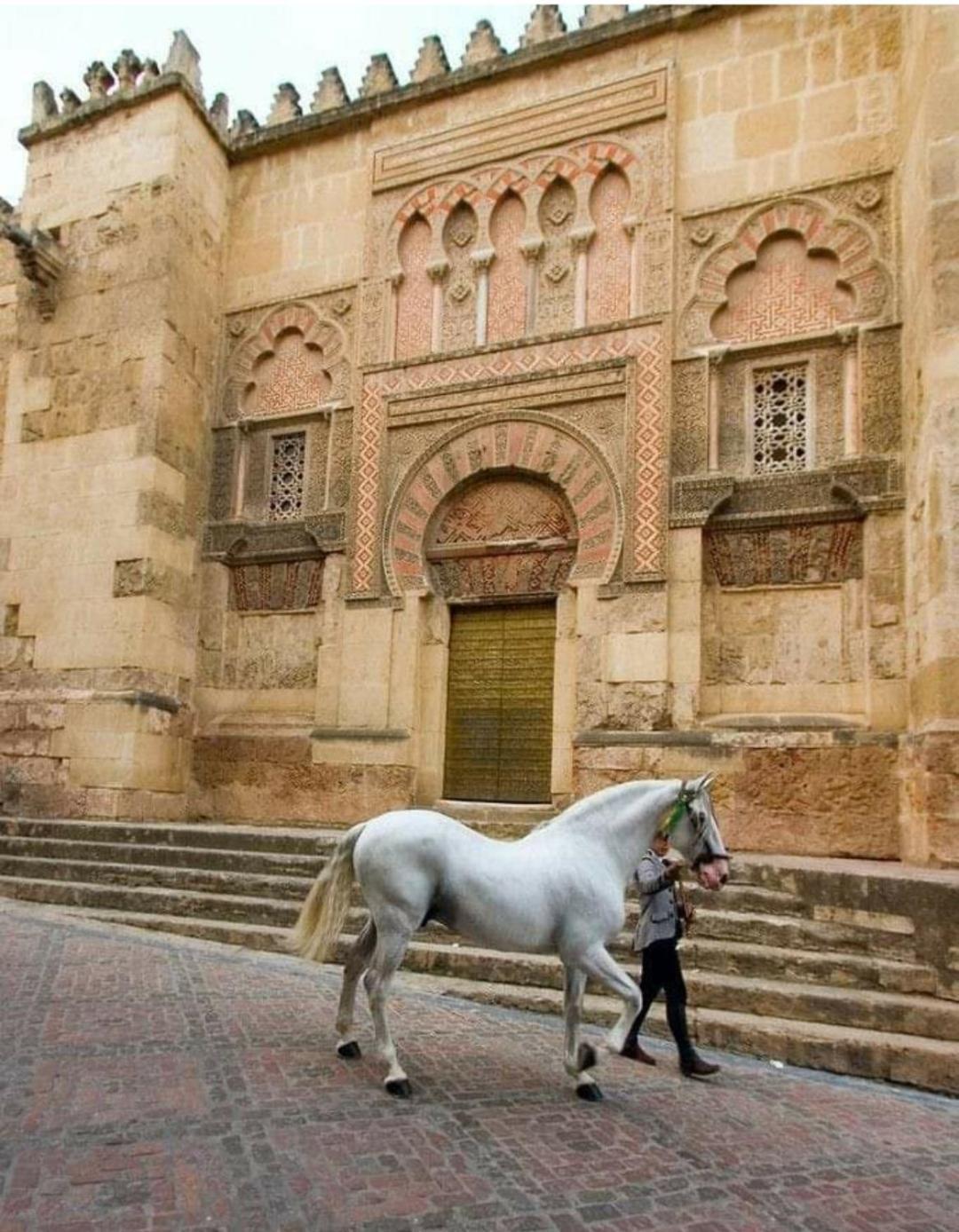 A 20 Metros De La Mezquita Catedral ,Apartamentos Turistico Cespedes 5 Cordoba Bilik gambar