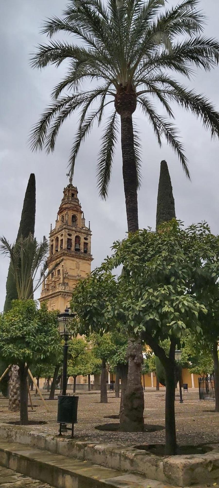 A 20 Metros De La Mezquita Catedral ,Apartamentos Turistico Cespedes 5 Cordoba Bilik gambar